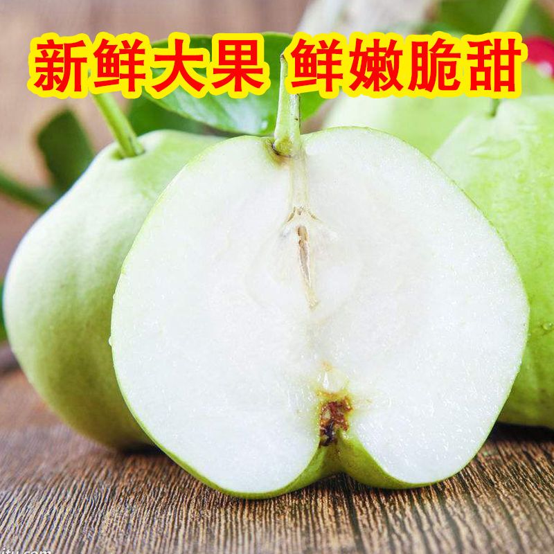 现摘早酥梨5斤小果新鲜批发当季水果时令脆甜青梨子整箱多汁陕西早酥梨带箱10斤梨子新鲜当季水果皇冠香梨