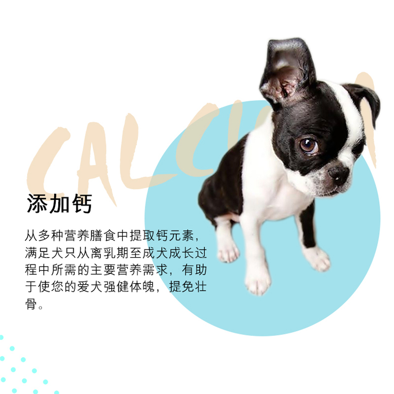 TEB汤恩贝狗粮X3高钙提免通用型犬粮大中小型犬狗粮3.3磅1.5kg 湯恩貝,TEB!高清大图