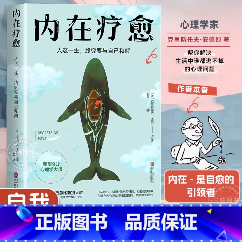 【2册】停止内耗+停止乱想 【正版】内在疗愈 豆瓣9分心理学家 停止精神内耗如何停止胡思乱想 情绪管理迷茫焦虑疏导自救