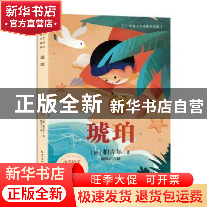 正版 琥珀 (德)柏吉尔著 长江文艺出版社 9787570229642 书籍高清大图