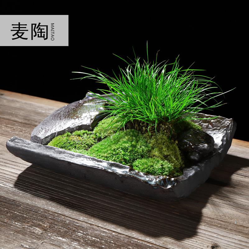 美帮汇禅创意陶瓷花盆简约个性菖蒲袖珍椰子植用室内组合盆栽装饰品高清大图