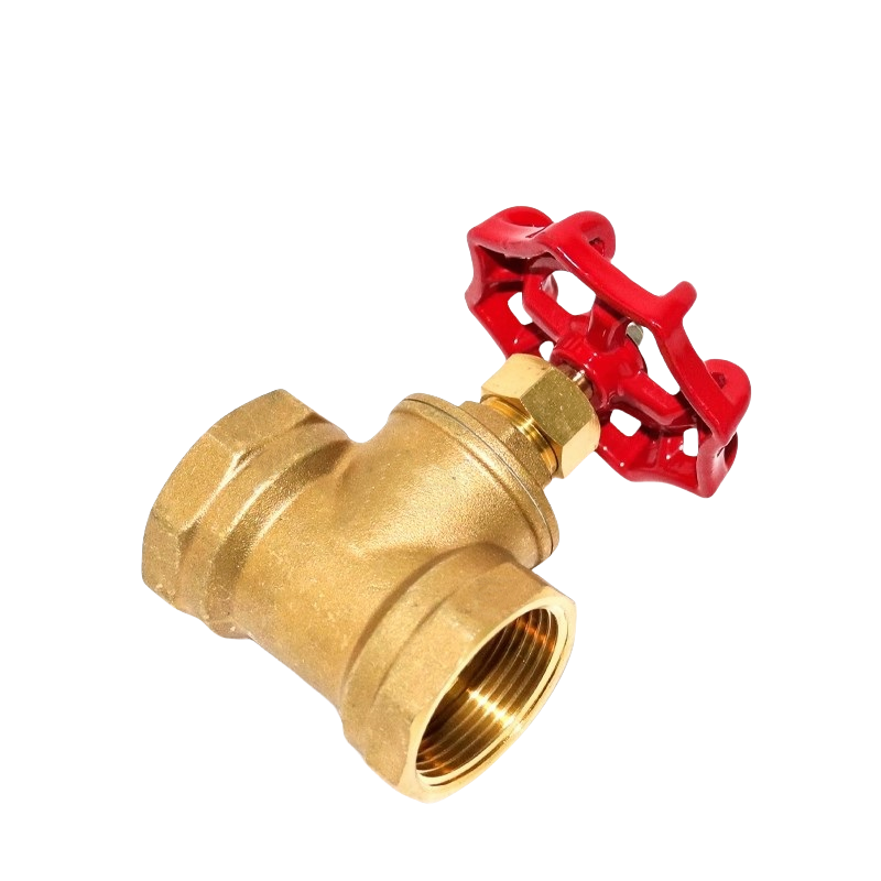 智铮朗月 铜闸阀 DN20 个高清大图