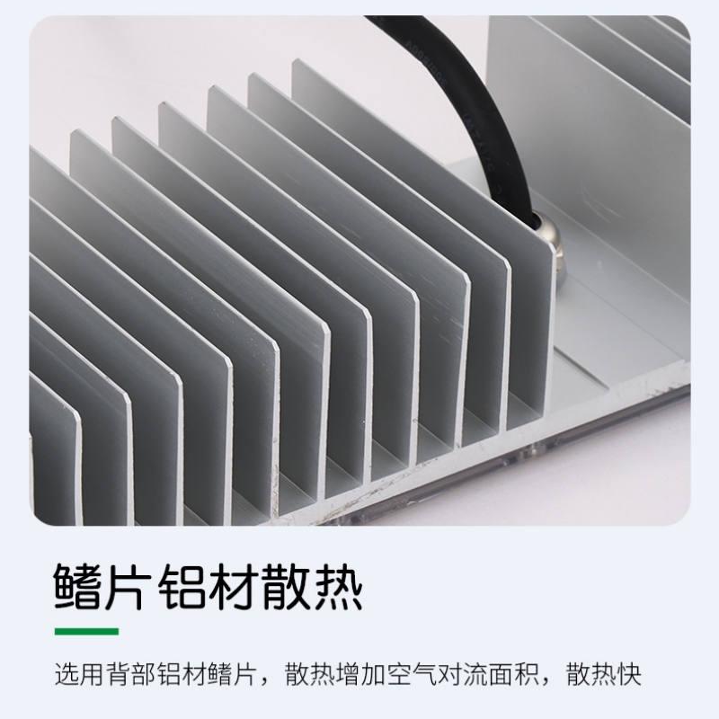 RDZM 100W模组投光灯 LED泛光灯 SW2760 台高清大图