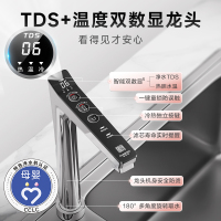 史密斯加热净水器佳尼特100℃真开水大流量 多档控温TDS数显 800G家用直饮冷热一体热饮机CAR800-FA1升级款