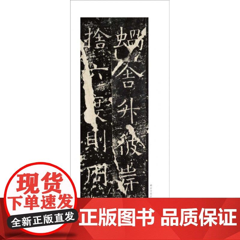 褚遂良伊阙佛龛碑 褚遂良楷书代表作高清原碑帖+近距离临摹可平摊毛笔书法字帖楷书入门临摹教材范本基础教程 中国历代碑帖丛刊图片