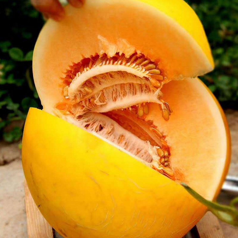 陈小四水果瓜类报价_参数_图片_视频_怎么样_问答-苏宁易购