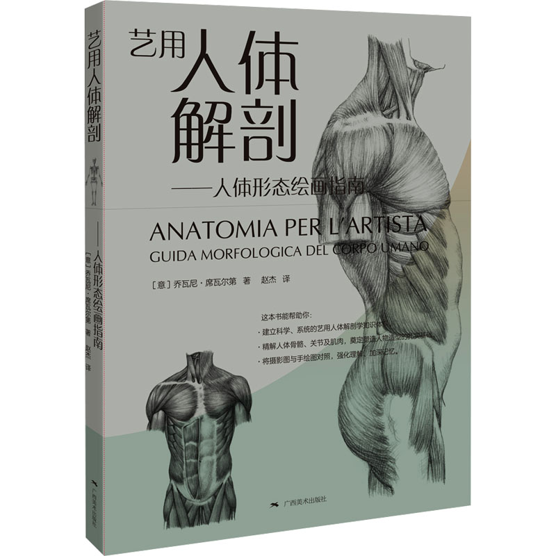 [M]艺用人体解剖——人体形态绘画指南-9787549425723高清大图