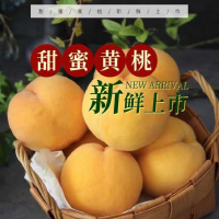 5斤装现摘黄桃新鲜水果5斤装约6-12个果（数量仅供参考以净重为准）