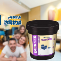 长江防霉抗碱水性漆耐擦洗自喷漆净味 黑漆 13L