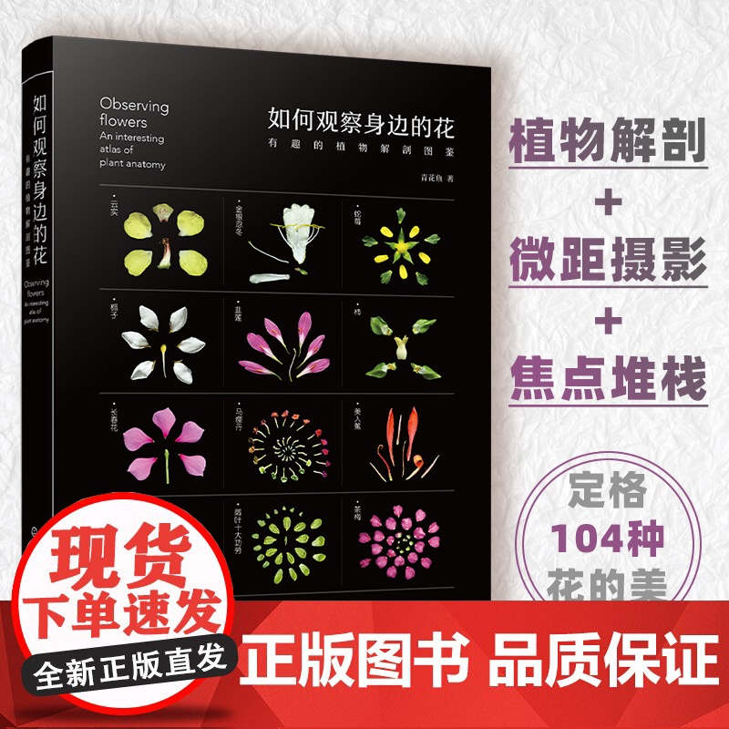 2册 如何观察身边的花 有趣的植物解剖图鉴 我的大自然观察笔记 植物观察笔记 植物科普绘本 6-12岁小学课外自然科普阅高清大图