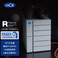 雷孜LaCie 60TB Typc-C/Thunderbolt3 USB3.1 磁盘阵列 6big 雷电3 六盘位雷孜