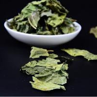 正品霜后桑叶新鲜晒干 桑叶茶老中医非同仁堂500克