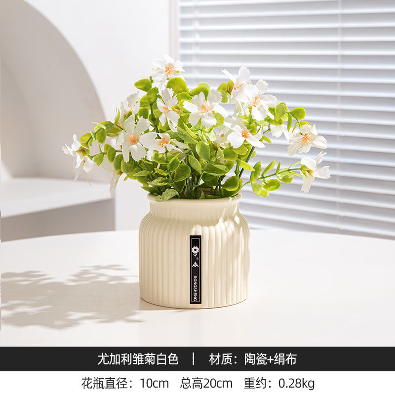 仿真花盆栽摆设仿真小雏菊办公室假绿植客厅餐厅桌面装饰摆件 尤加利雏菊白色