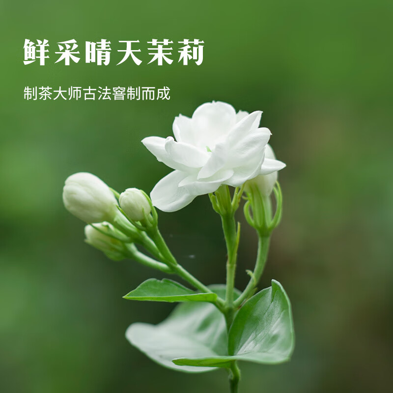 八马茶业 茉莉花茶 茉莉绿茶 花草茶 250g高清大图
