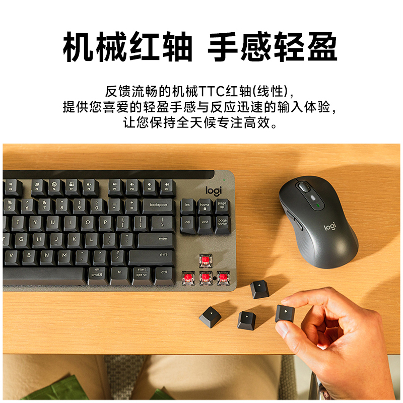 罗技MK855键盘套装无线蓝牙鼠标套装MAC电脑办公安静家用学生键鼠高清大图