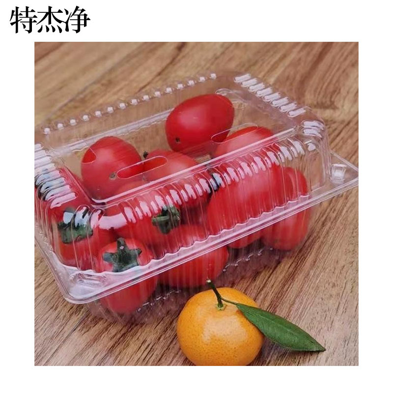 特杰净TJ-BZ1 保鲜盒 包装盒 100个箱(单位:箱)透明色