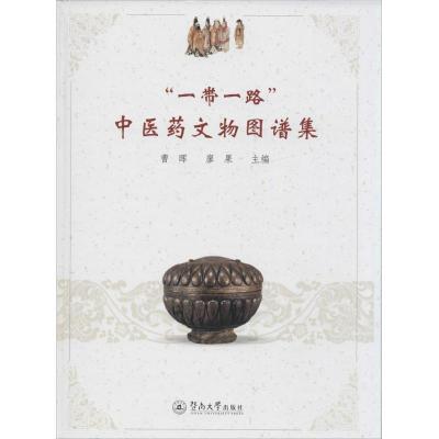 11“一带一路”中医药文物图谱集978756681979622