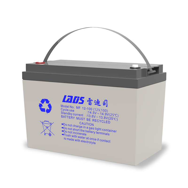 雷迪司(LADIS)100AH 铅酸免维护蓄电池 100AH 12V EPS 直流屏用
