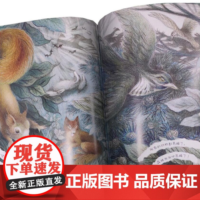 月光森林海豚绘本花园硬壳精装图画书适合3岁以上亲子共读正版童书高清大图