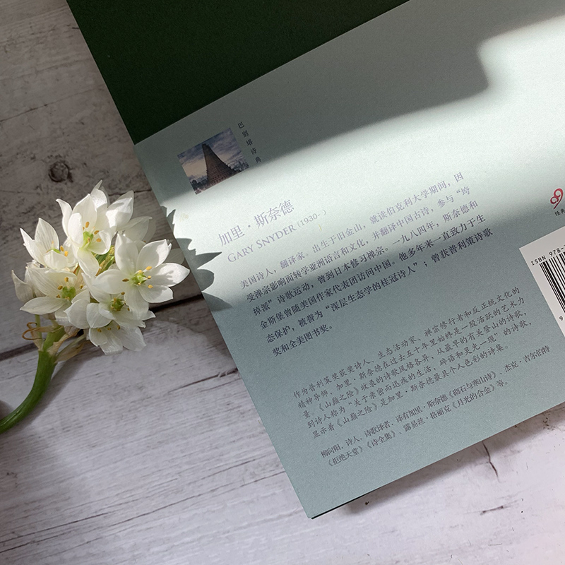 [正版]山巅之险(巴别塔诗典系列-精装本)普利策奖获奖诗人加里·斯奈德 著 柳向阳 译 人民文学出版社 书籍高清大图