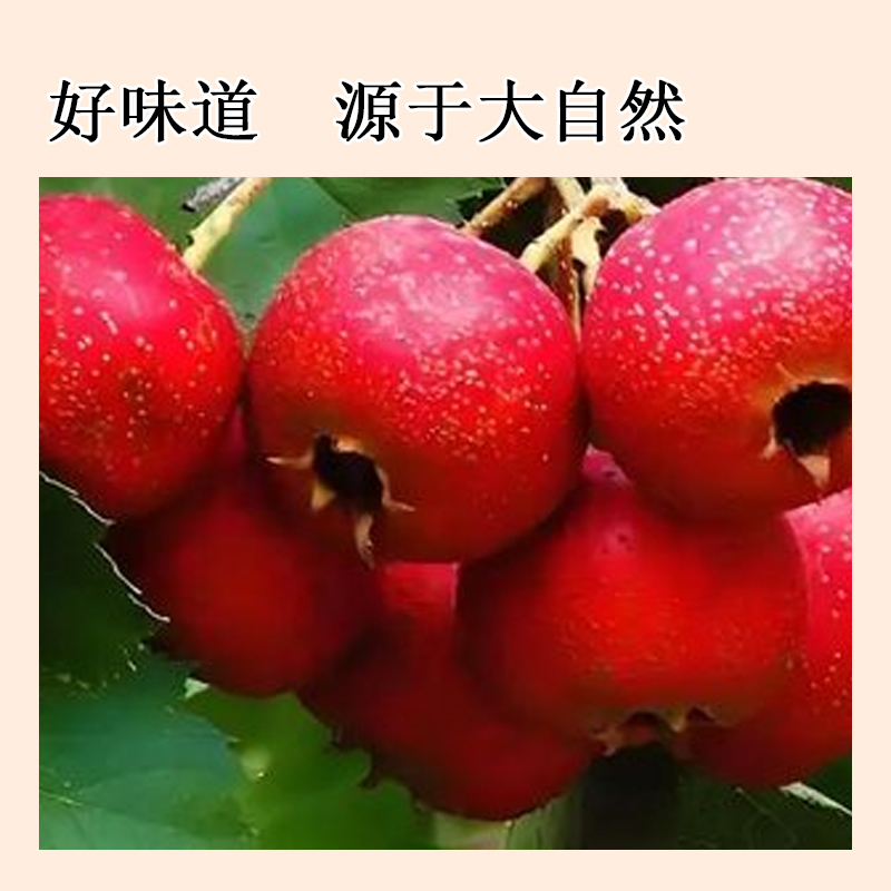 山查脯138g/袋高清大图