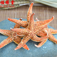 福曦堂 干海星 海星 海南海星 海南干海星 泡酒料 可搭配海马 海龙等 海星 250克*1袋
