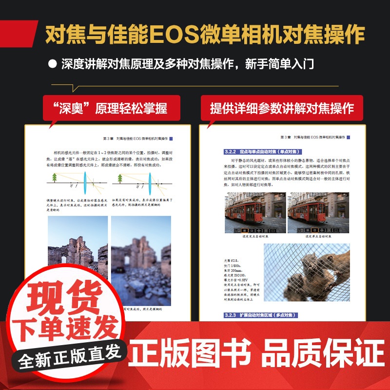 佳能R5R6摄影与视频拍摄一本通 佳能微单EOS摄影与视频拍摄技巧摄影书籍Canon单反构图微单相机摄影教程高清大图