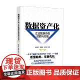 数据资产化 企业数据价值挖掘与实现 郑清元等 编著 管