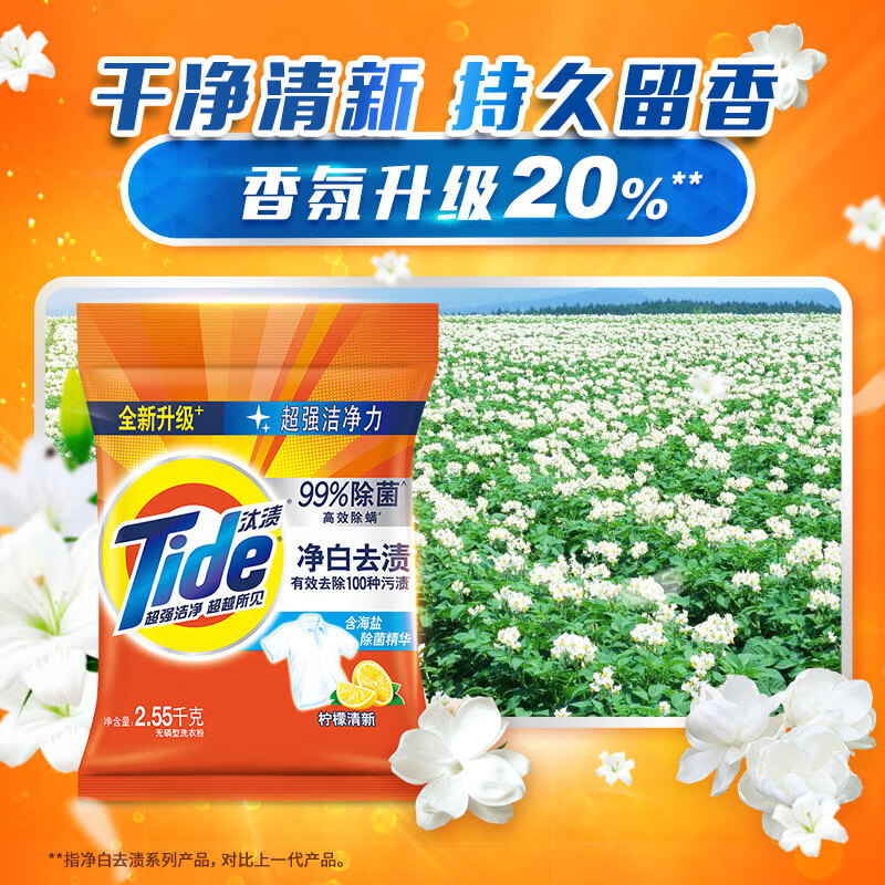 汰渍洗衣粉 5.1斤净白去渍大袋批发非皂粉持久留香深层去污柠檬家庭装高清大图