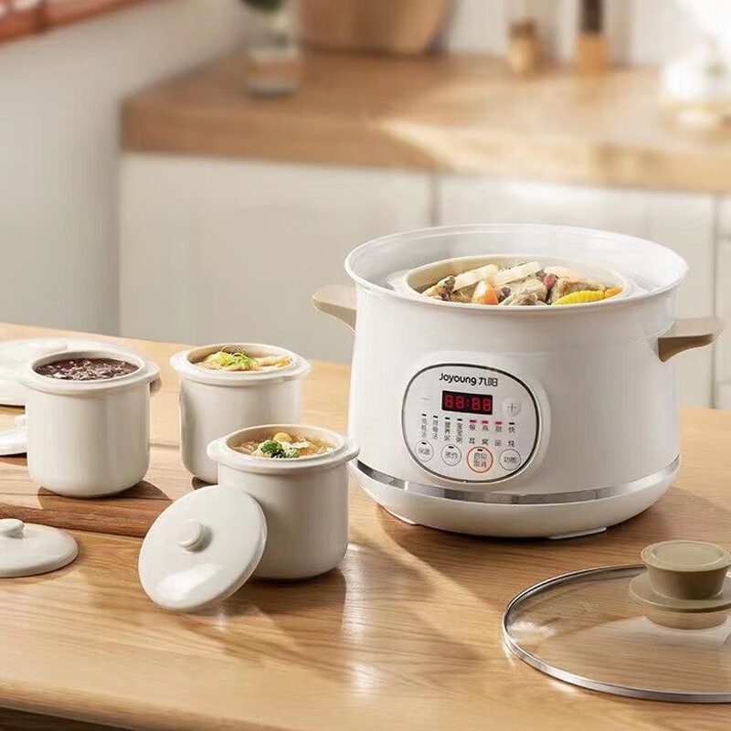 九阳 DG25G-GD833 电炖锅 燕窝电炖盅隔水炖白瓷一锅四胆煮粥煲汤锅