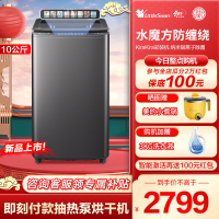 小天鹅(LittleSwan)纤彩系列 10公斤变频波轮洗衣机全自动 水魔方防缠绕 银离子除菌 以旧换新TB100S87