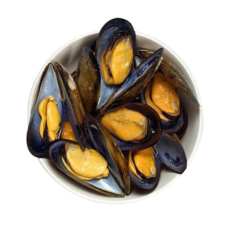 鲜活新鲜海虹青口贝青口贻贝淡菜新鲜贝类海鲜水产5斤