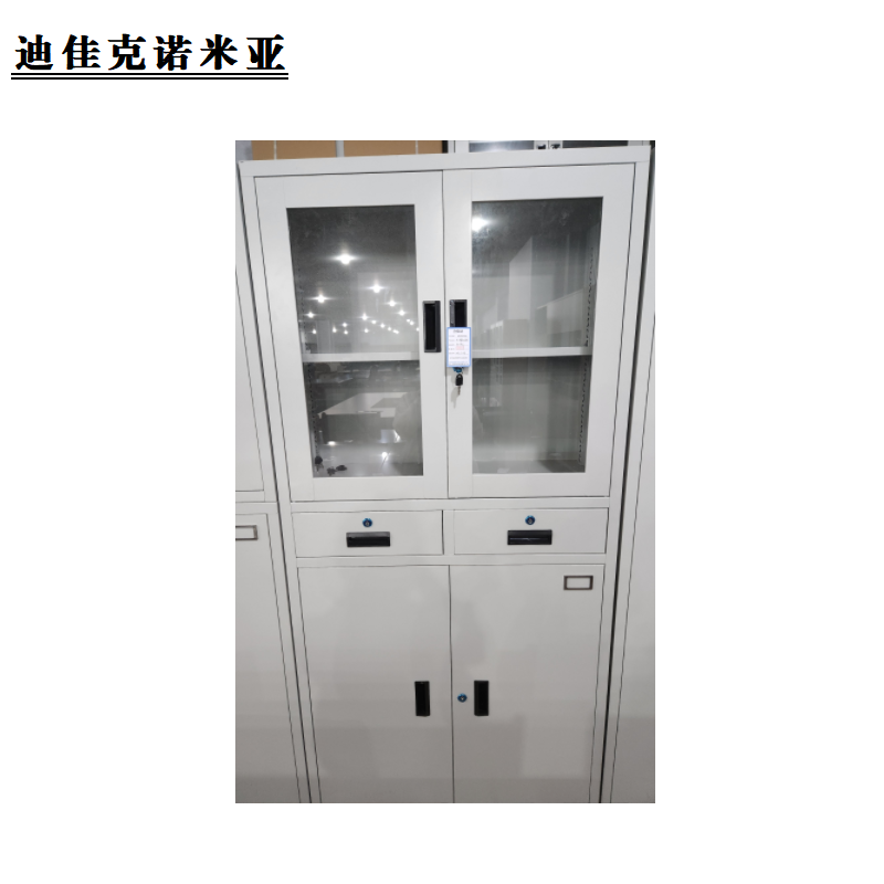 迪佳克诺米亚 办公柜 中二抽办公柜 A7-BGG 个高清大图