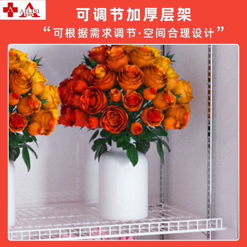 埃利斯(AILISI)鲜花保鲜柜XC-450SL风冷保鲜柜风冷商用展示柜冷藏柜鲜花植物柜花店立式陈列柜
