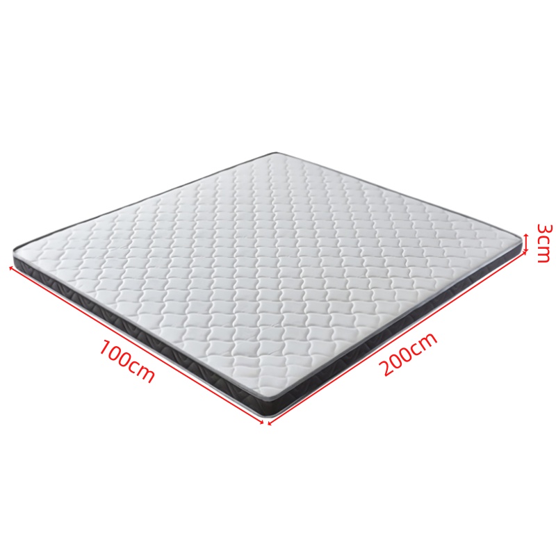 抚樽椰棕垫 100*200*3cm 张