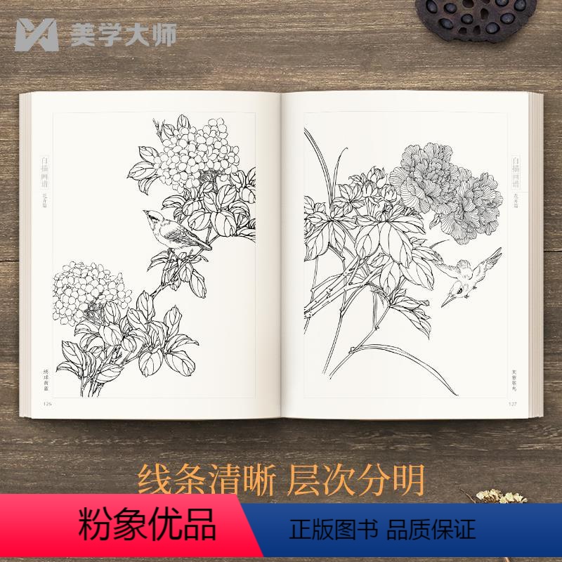 [正版]6本全套白描画谱人物花卉禽鸟草虫蔬果鳞介走兽山水树石中国工笔