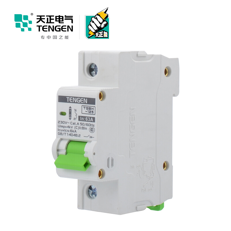 天正电气瑞彩系列TGBH-125 空气开关 6KA 1P C 125A 335013800240 微型断路器