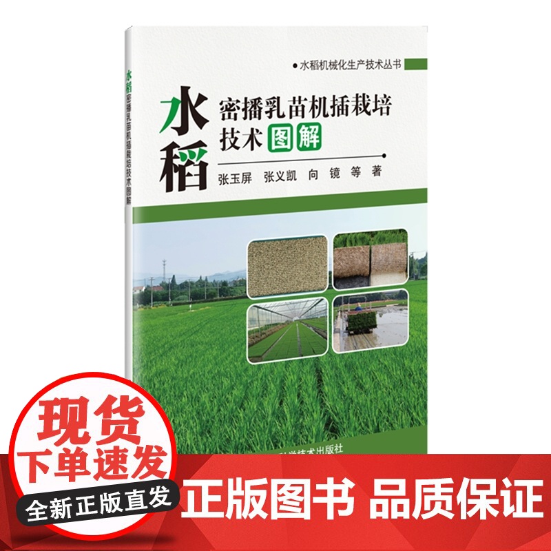 水稻密播乳苗机插栽培技术图解 张玉屏 张义凯 向镜 编 9787511669285 中国农业科学技术出版社高清大图