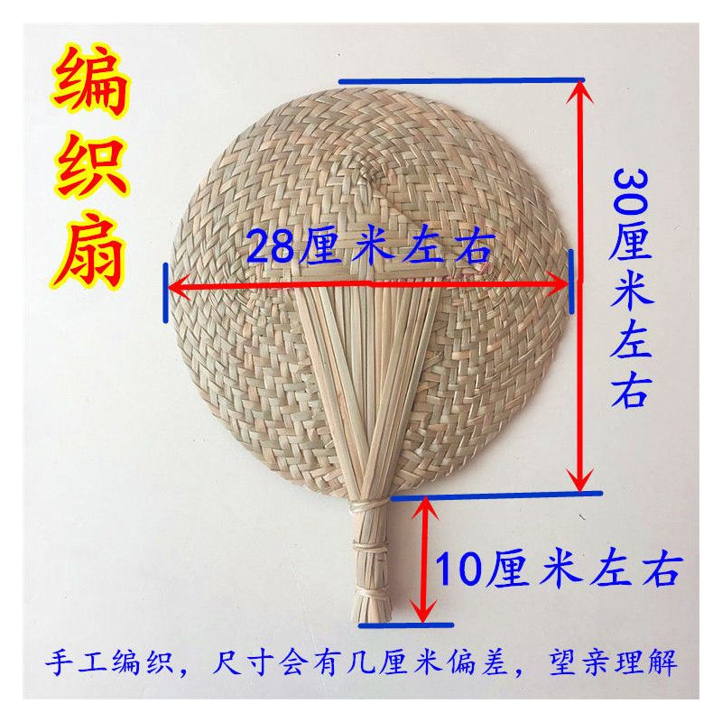 扇子大蒲扇芭蕉扇棕叶烧烤济公扇老人老式蒲草手工扇舞蹈绘画葵扇