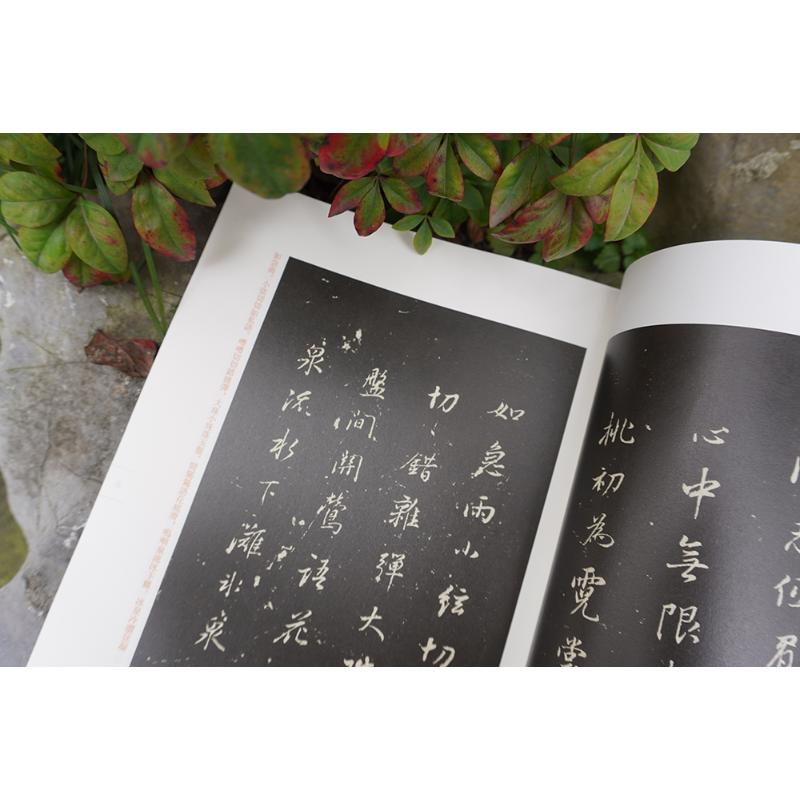 醉染图书玉烟堂董帖六种9787534084096高清大图