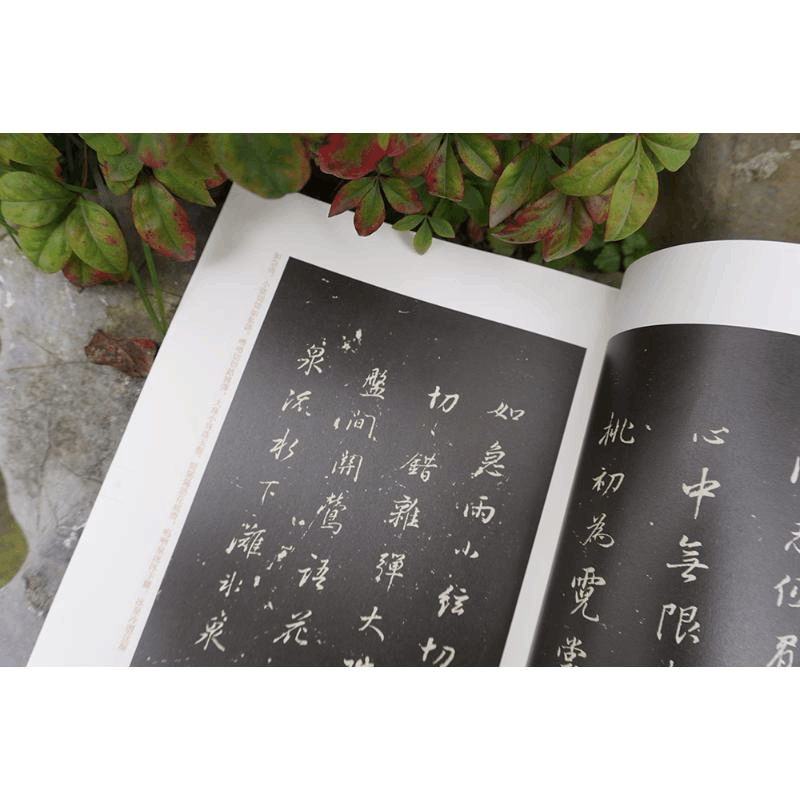 醉染图书玉烟堂董帖六种9787534084096图片