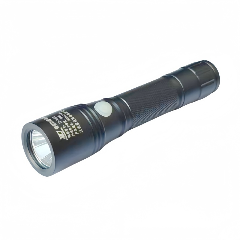 XD JX.XINGDIAN 微型防爆电筒 XD-702A 个