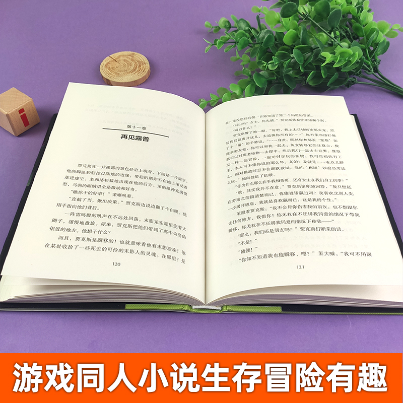 [全12册]我的世界小说(含拯救) [正版]全套12册我的世界小说拯救地下城/远航/破碎/海岛/失落的日记/末地中文版高清大图