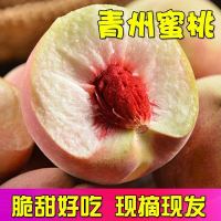 【顺丰速运】5斤装现摘青州蜜桃新鲜水果桃子毛桃脆桃约12-20个