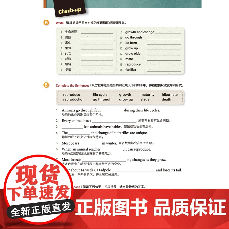 新东方 读美国中小学课本学各科词汇2 趣味同步学 出国留学单词书适合小托福高中中学生出国用书籍高清大图