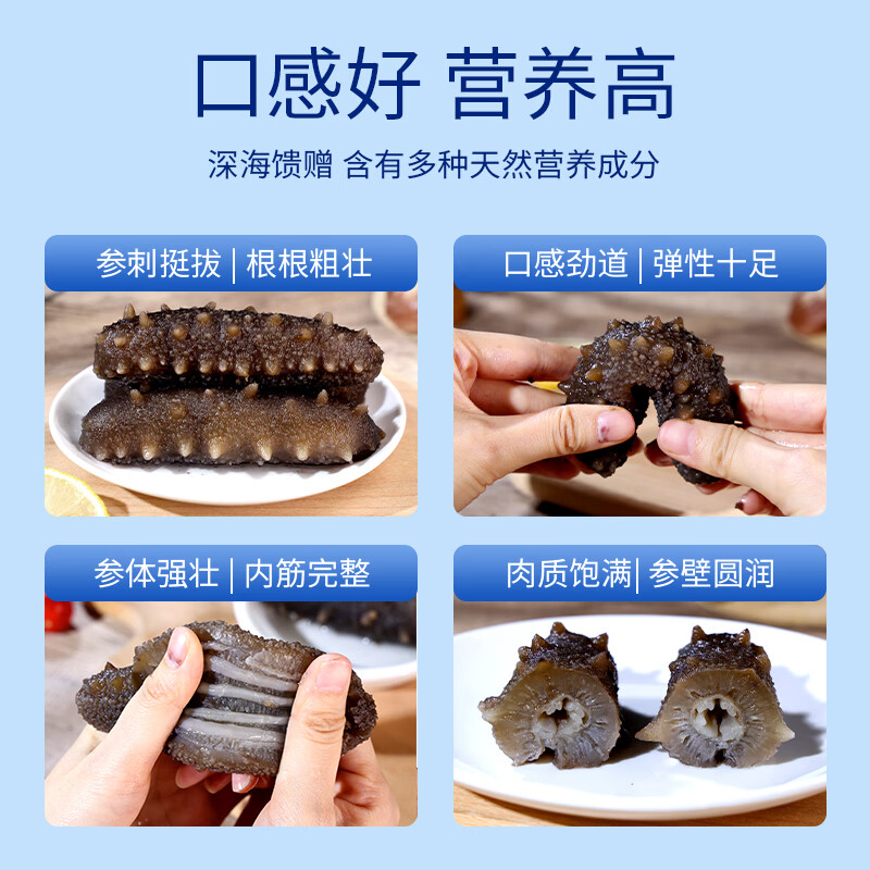星龙港无冰即食海参——海之精华1000g(10-14头)高清大图