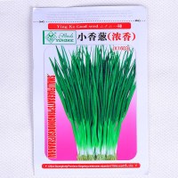 逍遥四季小香葱种子四季播农家菜种子阳台盆栽葱籽易种蔬菜籽小葱种子