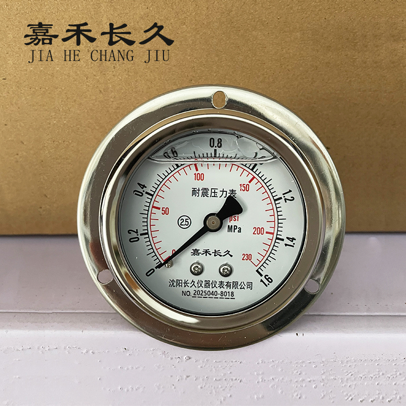 嘉禾长久 耐震压力表轴向带边 YN50ZT 0-1.6Mpa 块高清大图