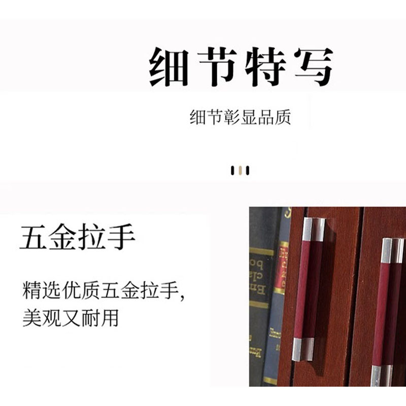 鑫龙悦书柜五门台高清大图