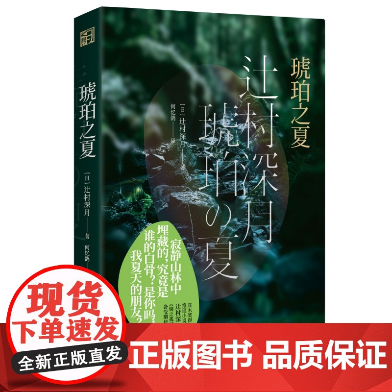 琥珀之夏 [日]辻村深月 正版书籍小说书 《镜之孤城》作者新作 暗祓 日式推理长篇小说 悬疑浙江文艺出版社高清大图